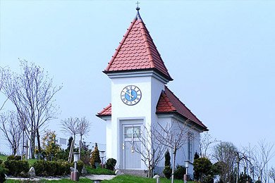 Holzbau Lutz Gmbh - Abgeschlossene Projekte